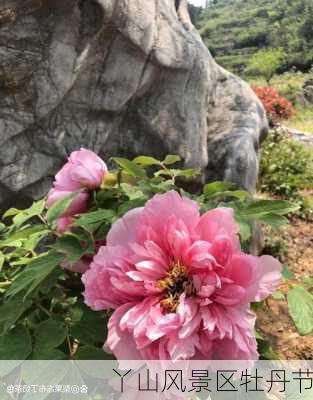 丫山风景区牡丹节