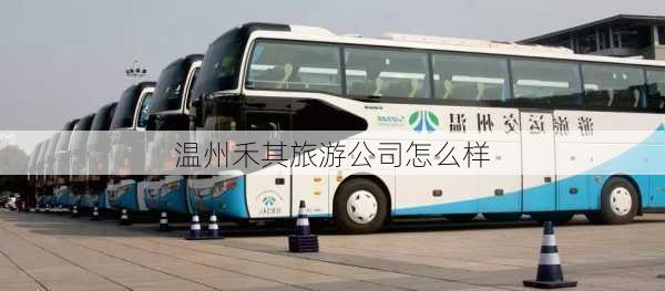 温州禾其旅游公司怎么样