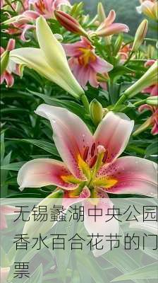 无锡蠡湖中央公园香水百合花节的门票