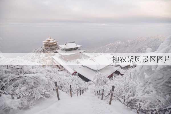 神农架风景区图片