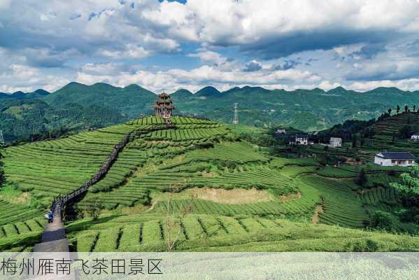 梅州雁南飞茶田景区