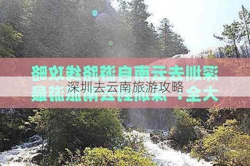 深圳去云南旅游攻略