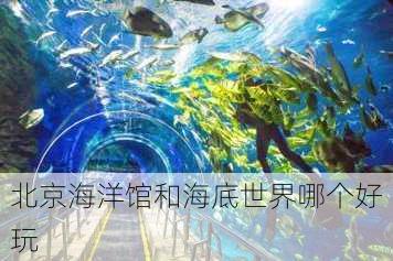 北京海洋馆和海底世界哪个好玩