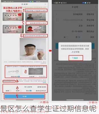 景区怎么查学生证过期信息呢