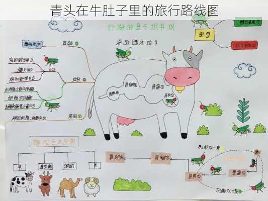 青头在牛肚子里的旅行路线图