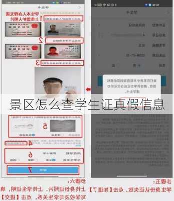 景区怎么查学生证真假信息