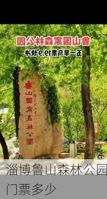 淄博鲁山森林公园门票多少