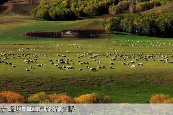 赤峰坝上草原旅游攻略