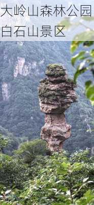 大岭山森林公园白石山景区