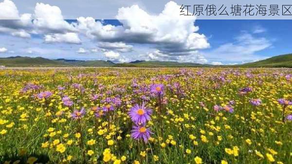 红原俄么塘花海景区