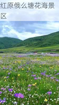 红原俄么塘花海景区