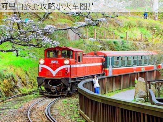 阿里山旅游攻略小火车图片