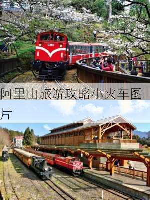 阿里山旅游攻略小火车图片