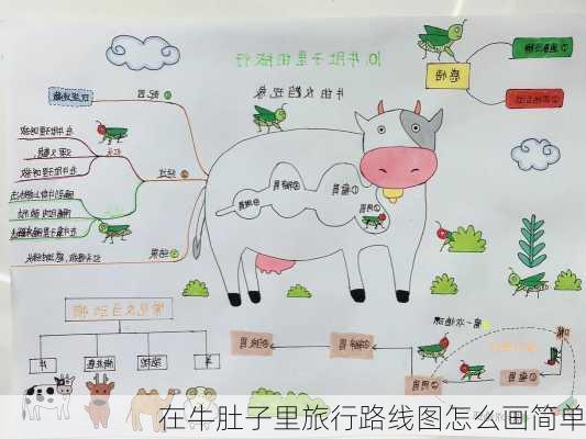 在牛肚子里旅行路线图怎么画简单