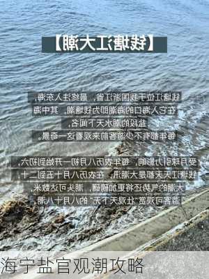 海宁盐官观潮攻略