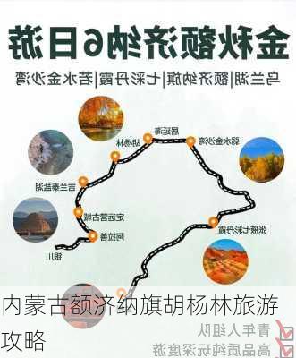 内蒙古额济纳旗胡杨林旅游攻略