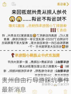 贵州自由行导游踩坑事件最新消息