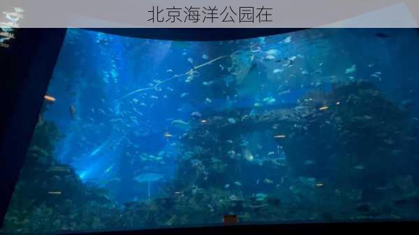 北京海洋公园在