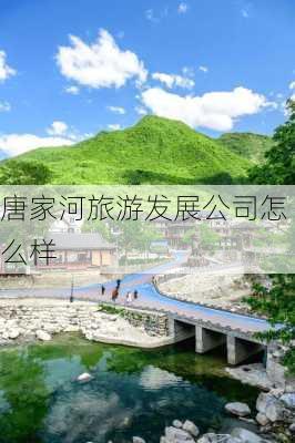 唐家河旅游发展公司怎么样