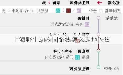 上海野生动物园路线怎么走地铁线