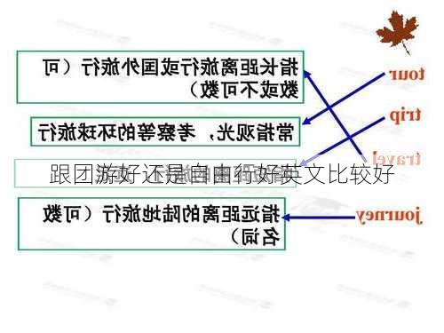 跟团游好还是自由行好英文比较好