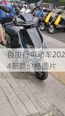 自由行电动车2024新款价格图片