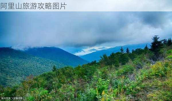 阿里山旅游攻略图片