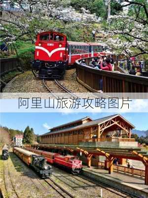 阿里山旅游攻略图片