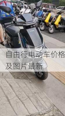 自由行电动车价格及图片最新