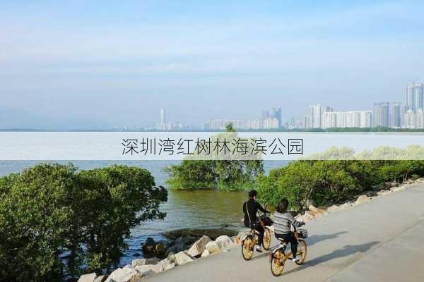 深圳湾红树林海滨公园