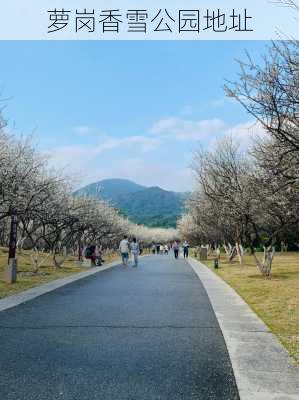 萝岗香雪公园地址