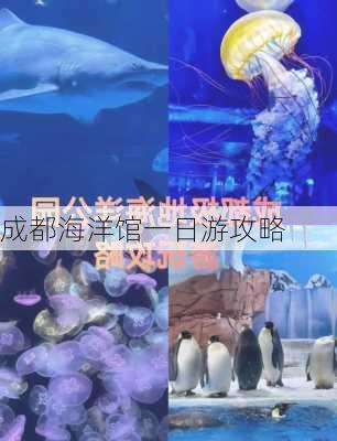 成都海洋馆一日游攻略