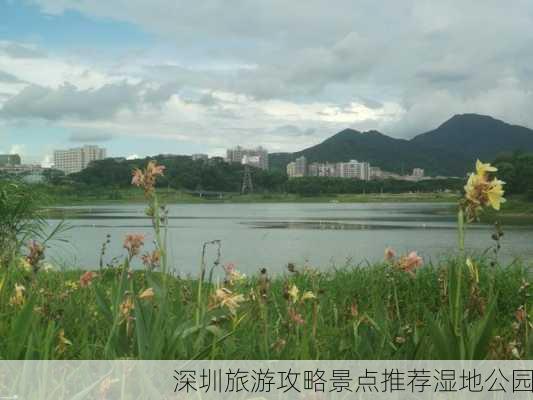 深圳旅游攻略景点推荐湿地公园