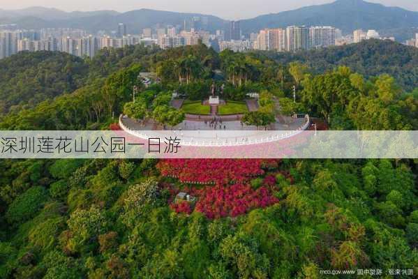 深圳莲花山公园一日游