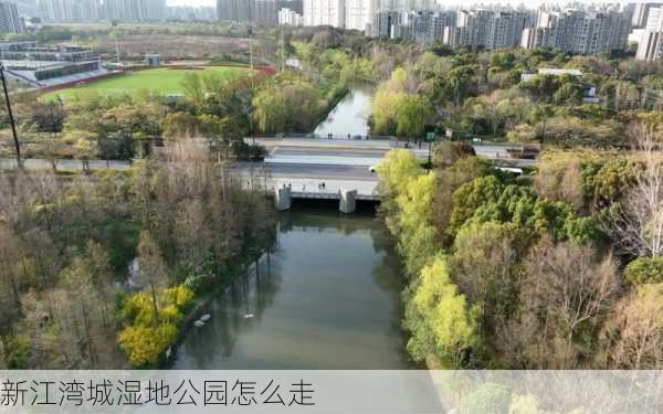 新江湾城湿地公园怎么走