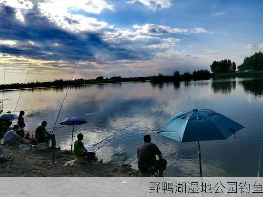 野鸭湖湿地公园钓鱼