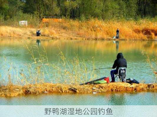 野鸭湖湿地公园钓鱼