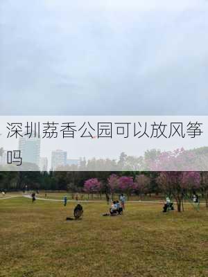 深圳荔香公园可以放风筝吗