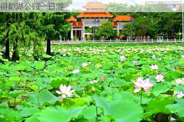 得能湖公园一日游