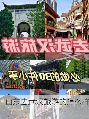 山东去武汉旅游的怎么样了