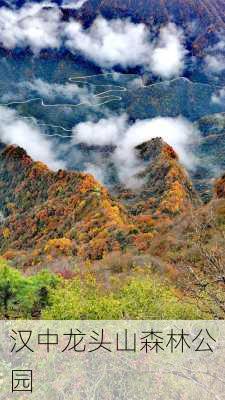 汉中龙头山森林公园