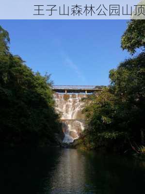 王子山森林公园山顶