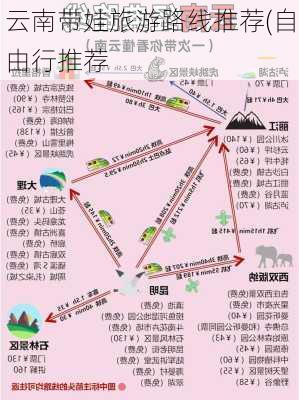 云南带娃旅游路线推荐(自由行推荐