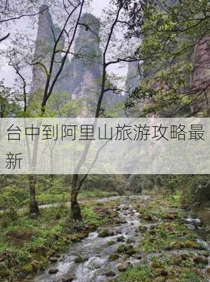 台中到阿里山旅游攻略最新