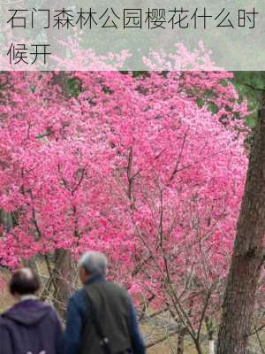 石门森林公园樱花什么时候开