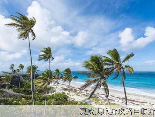 夏威夷旅游攻略自助游