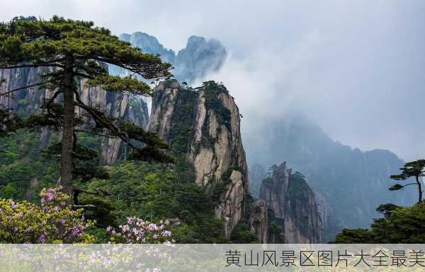 黄山风景区图片大全最美