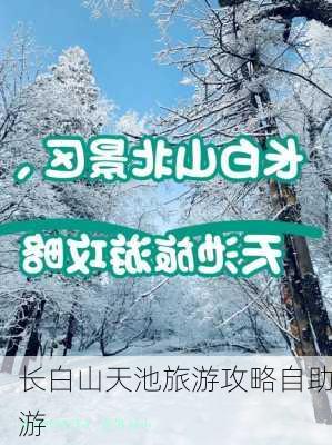 长白山天池旅游攻略自助游