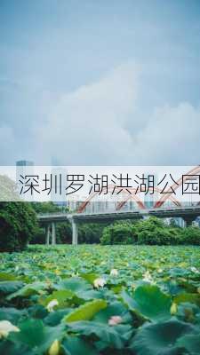 深圳罗湖洪湖公园