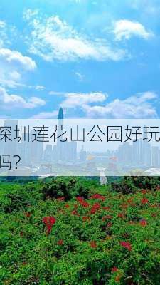 深圳莲花山公园好玩吗?